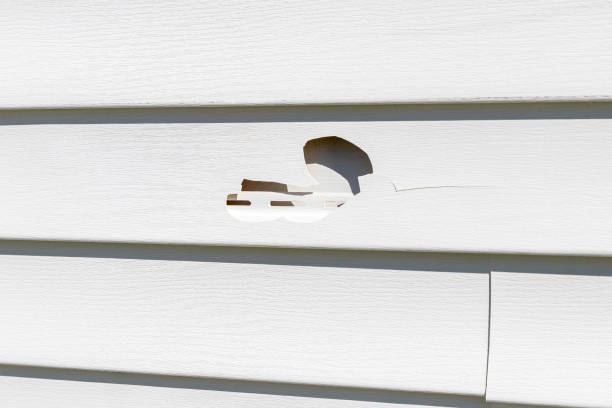 Trusted Fall River, WI Junk Removal Experts